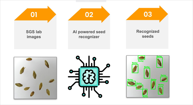 AI Applied in Seed Testing