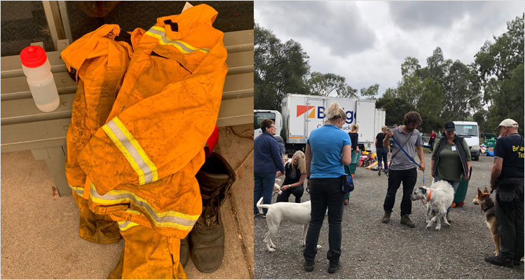 People and Firefighter Jacket