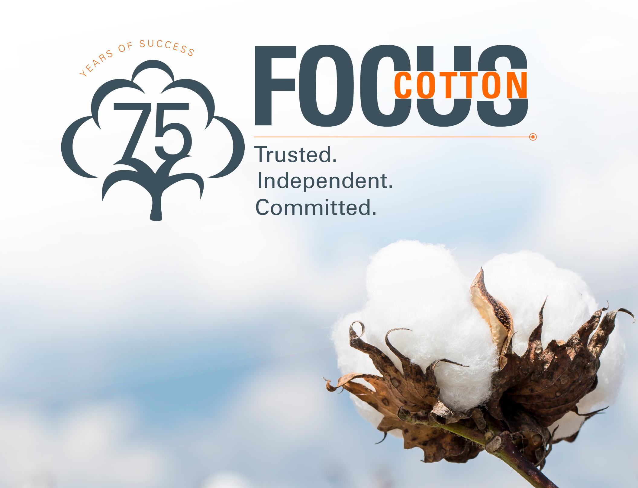 Celebrating 75 Years of Excellence in the Cotton Industry | SGS India