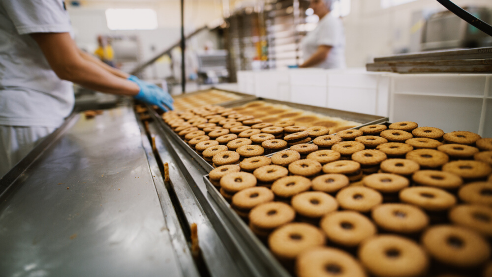 The Evolving Landscape of the Food Manufacturing Industry